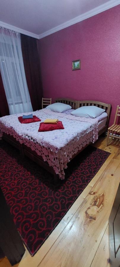 Guest House Lela Rezo Kazbegi Εξωτερικό φωτογραφία
